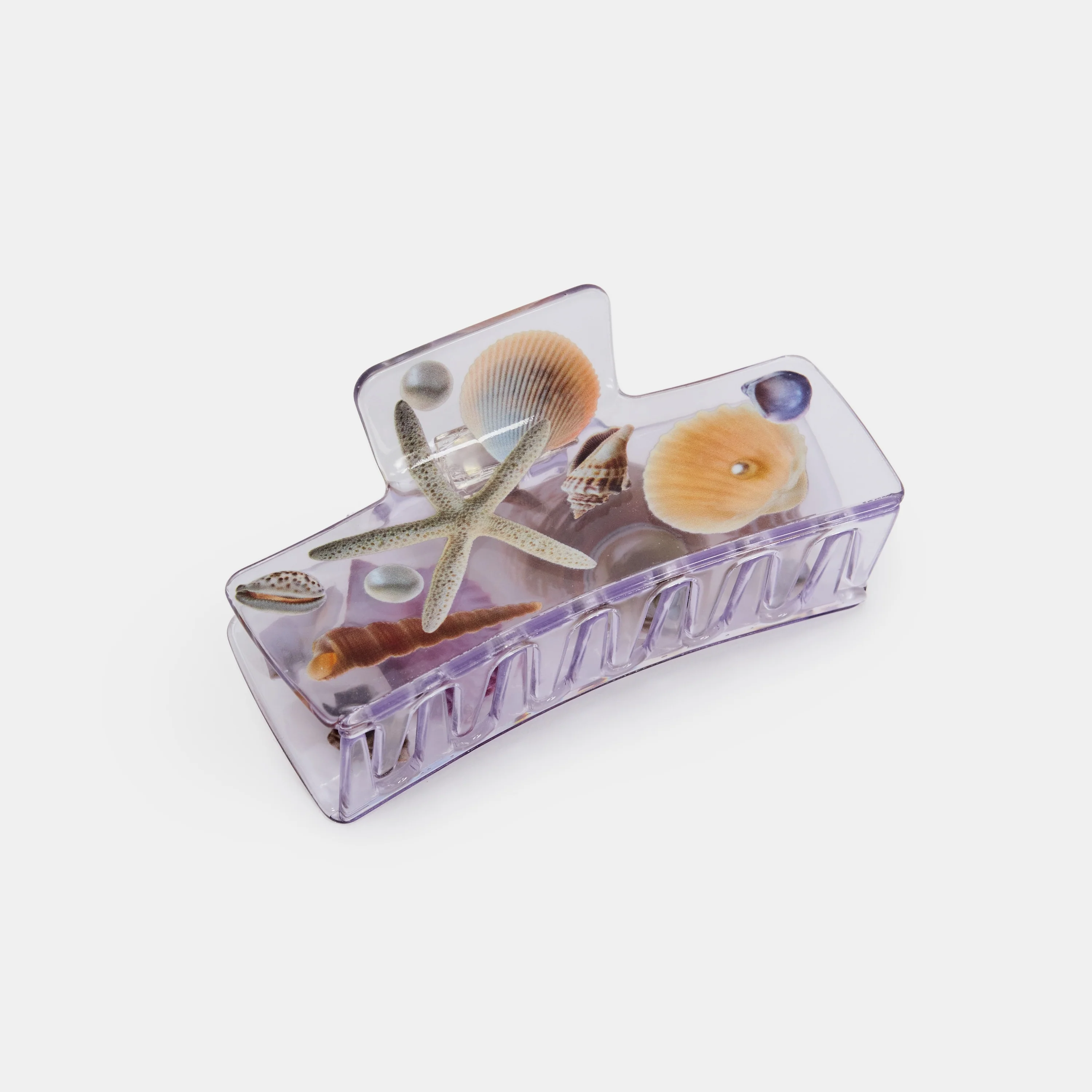 Box Claw in Seashell - Image 3