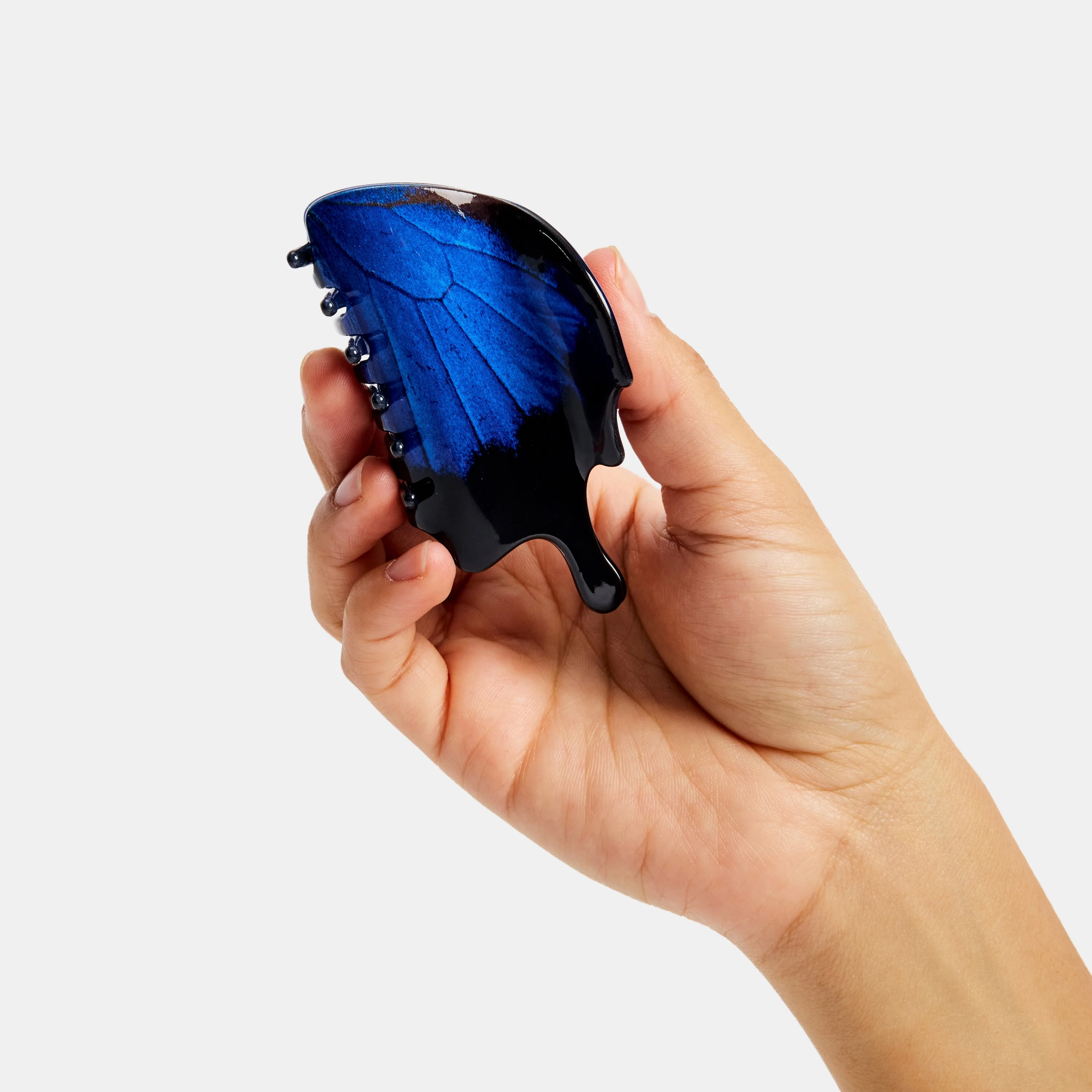 Swallowtail Butterfly Claw - Image 4